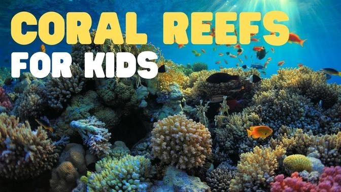 Coral Reefs for Kids   Learn about the 3 types of coral reefs Fringe  Barrier and Atoll