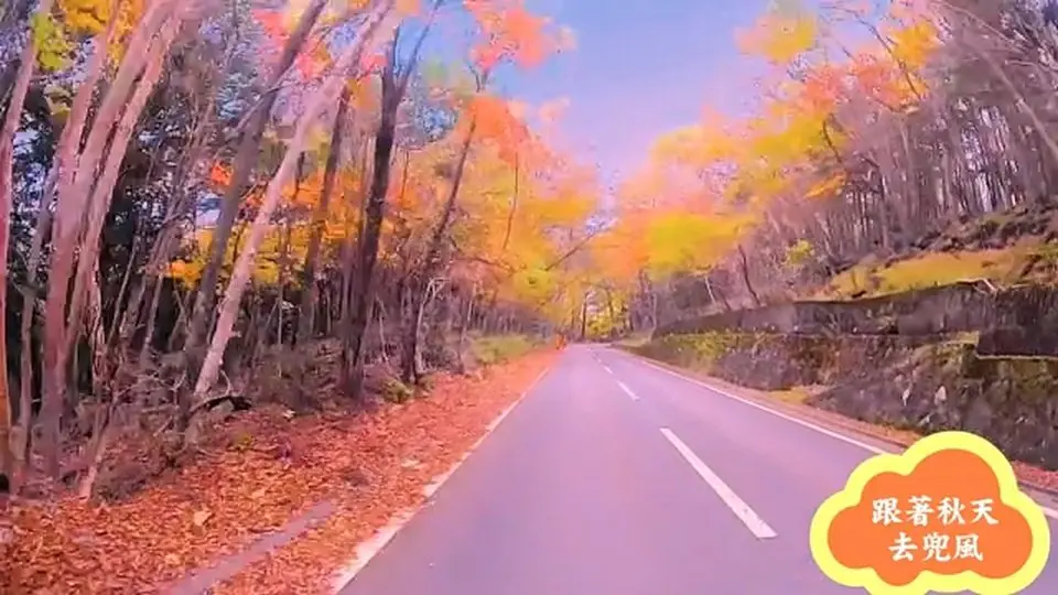 日本秋天的原風景 #FallFoliage  #晒出出遊路線 #音樂 #紅葉 #記錄自然 #城市印象