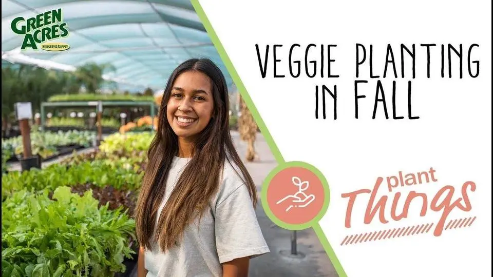 Vegetable Planting in Fall (Winter Veggie Tips)🌿🥦🥬