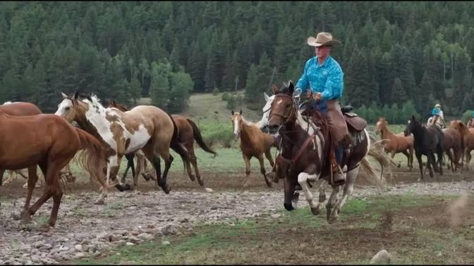 Rainbow Trout Ranch | Videos | Today's Wild West | Gan Jing World