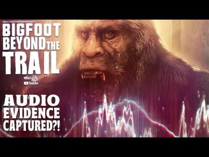 Bigfoot Audio Evidence Captured?! Bigfoot Beyond the Trail (Audio Analysis)