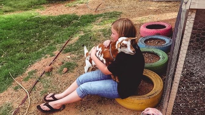 Our Baby Goat is OBSESSED with Hugging, And It's The Cutest.