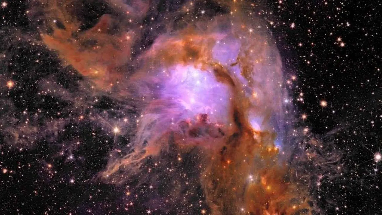 Space Telescope Captures New Images of Baby Stars