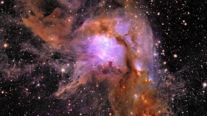 Space Telescope Captures New Images of Baby Stars