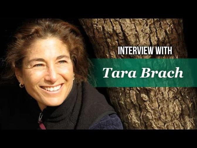 The Foundations of Well-Being: Self-Caring Interview Excerpt with Rick Hanson and Tara Brach