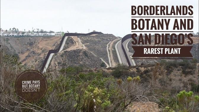 Borderwall Botany & San Diego's Rarest Plant