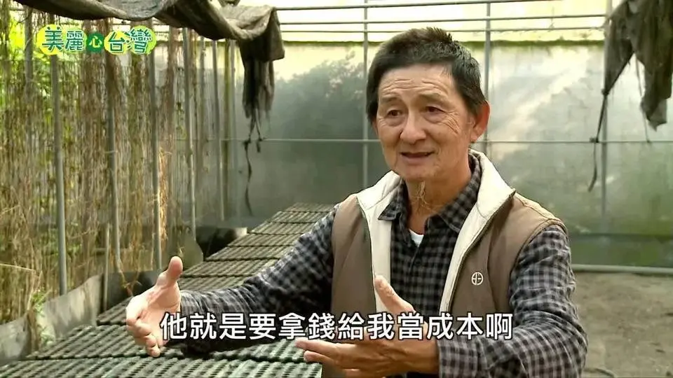 【嘉義新港】有機之路忙又累 賴永興夫婦的選擇與堅持 | 有機無毒 | 251 | 美麗心台灣