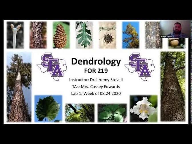 SFA Dendrology Lab Week 1 Introduction (FORS 2319)