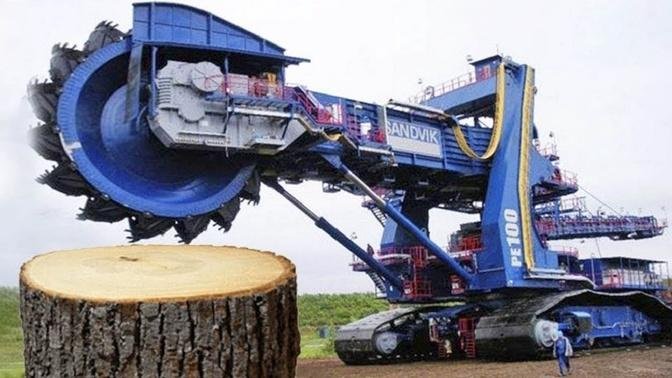 Dangerous Fastest Excavator Chainsaw Cutting Tree Machines, Modern Woodworking Wood Sawmill Machines