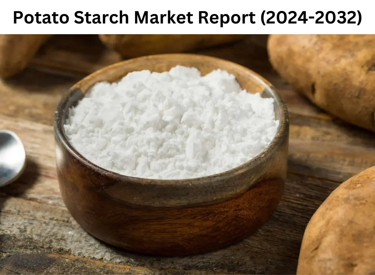 Potato Starch Market Size, Share, Key Drivers Shaping the Future Growth, 2032