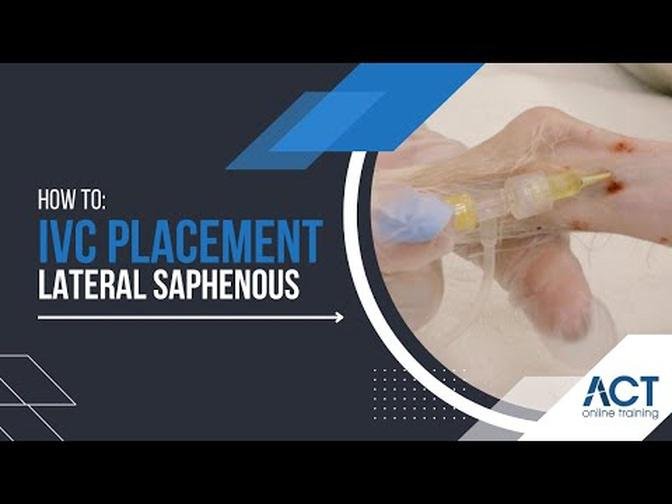 Intravenous Catheter Placement Lateral Saphenous
