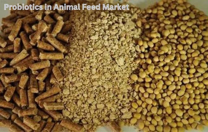 Probiotics in Animal Feed Market Size, Share, Growth and Future Trends, 2032