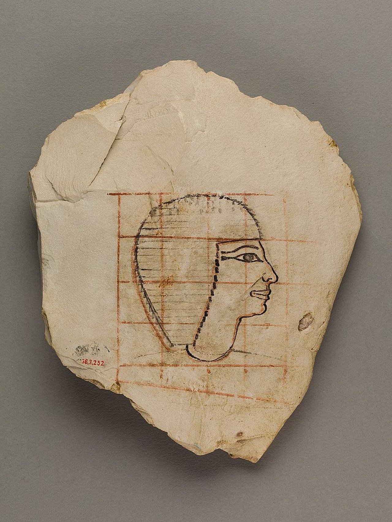 Artist's_Gridded_Sketch_of_Senenmut_MET_36.3.252_EGDP013666 (1).jpg