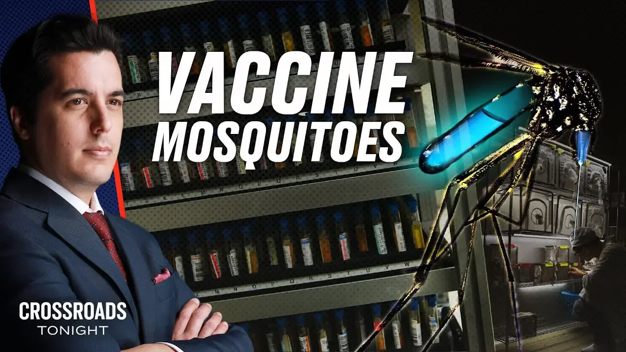 Mosquitos Modified to Spread Vaccines | Crossroads