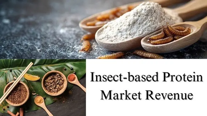 Insect-based Protein Market Revenue, Share, Size, and Growth Analysis Through 2029