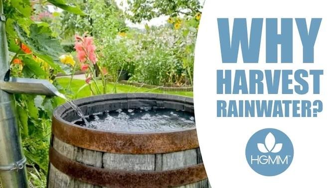 Why Harvest Rainwater?
