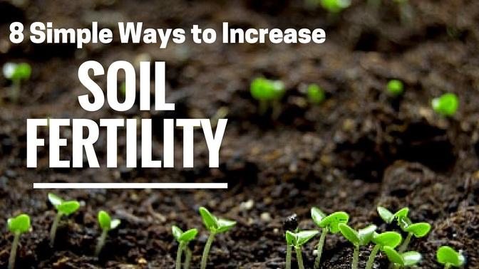How to improve garden soil quality: Here are 8 proven techniques