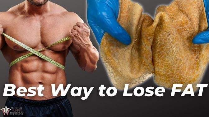 Best Way to Lose Fat | The Science of the Fat Burning Zone