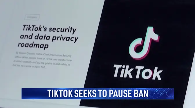 ByteDance, TikTok Seek Temporary Halt to US Ban