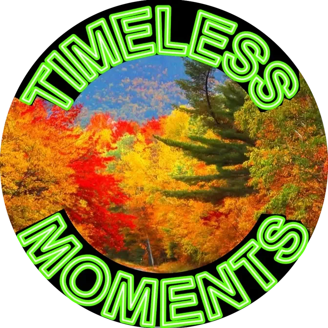 Timeless Moments