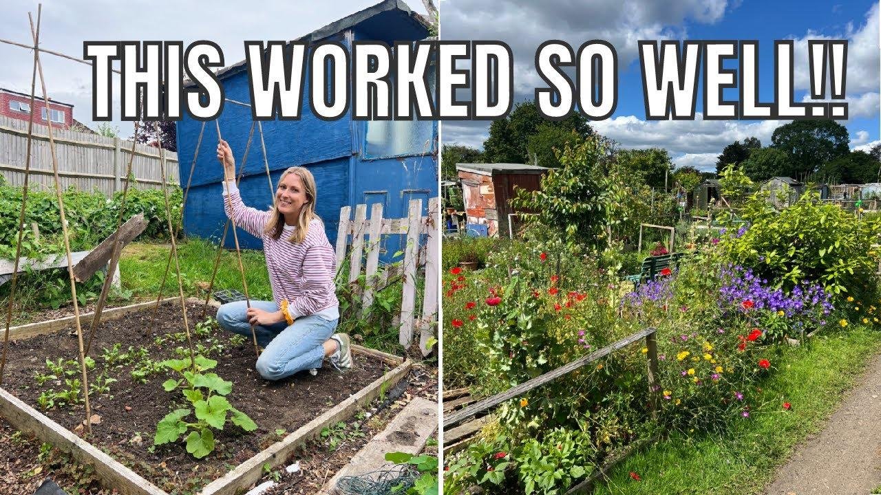 BUILDING A PEA STRUCTURE... AGAIN! / ALLOTMENT GARDENING