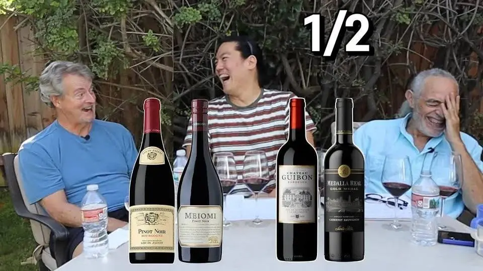 (1/2) Worldwide-popular Red Wines! (Meiomi, Louis Jadot Pinot Noir, Chateau Guibon, Medalla Real)