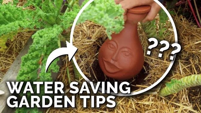 6 Clever Ways to Water Your Garden In a Drought