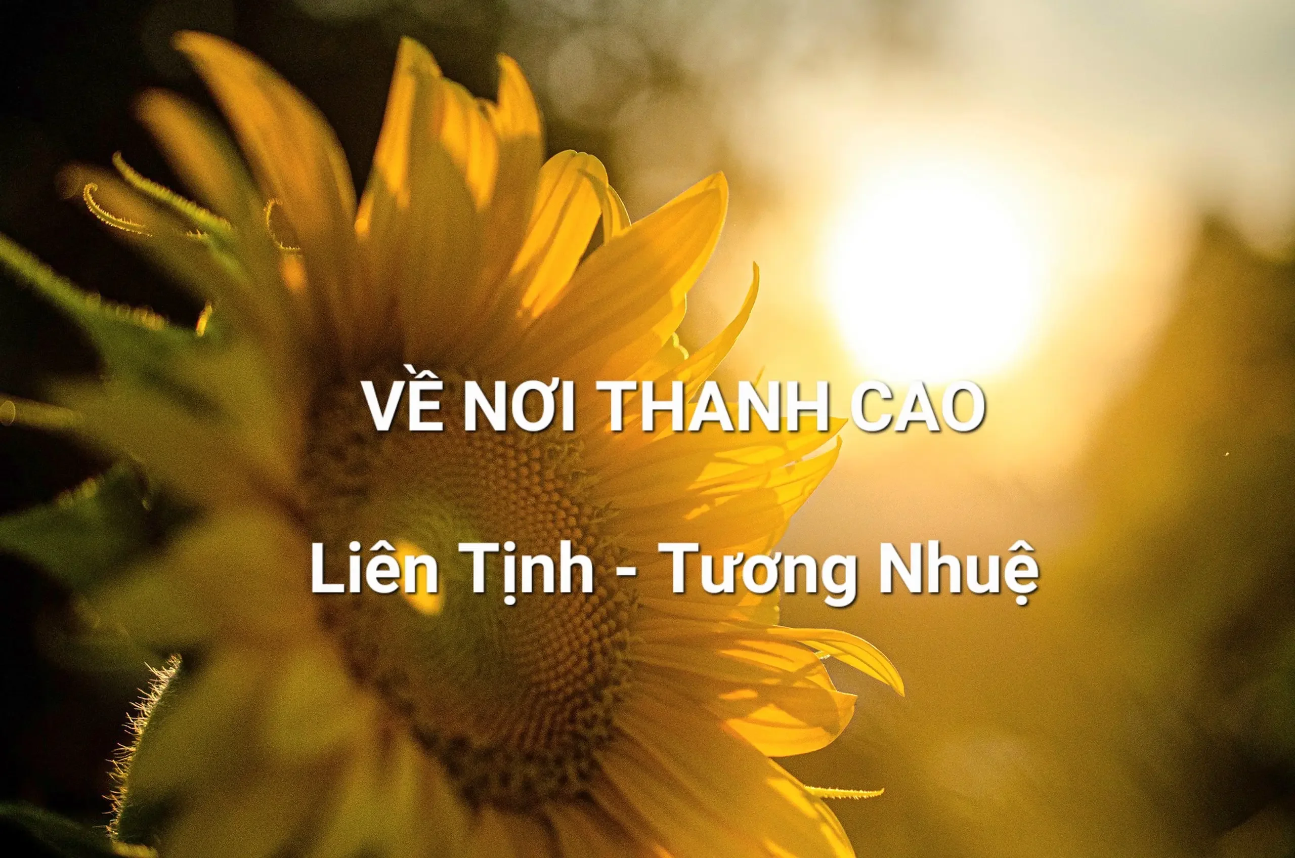 Ca khúc: VỀ NƠI THANH CAO - Liên Tịnh #lientinh #lientinhmusic