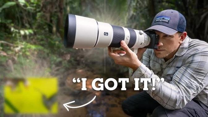 12 Hours of BIRD Photography in the JUNGLE | A7RIV + 200-600