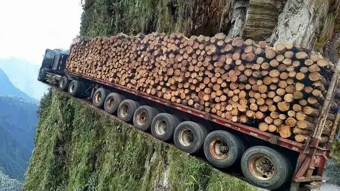 Dangerous Fastest Cutting Tree Skills With Chainsaw, Biggest Logging Wood Truck & Woodworking.