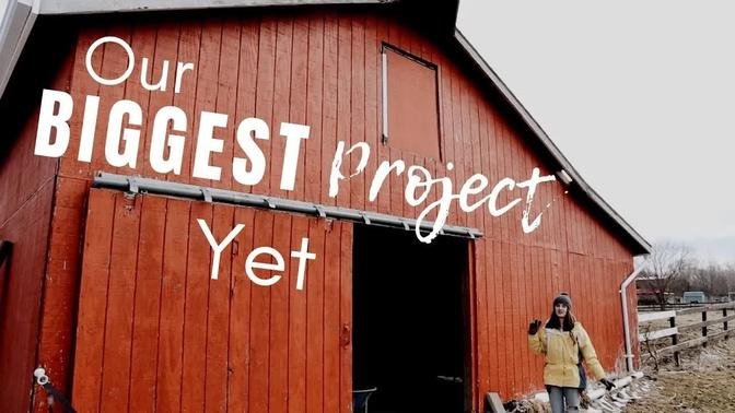 Planning A Barn Restoration | DIY Black and White Barn Renovation