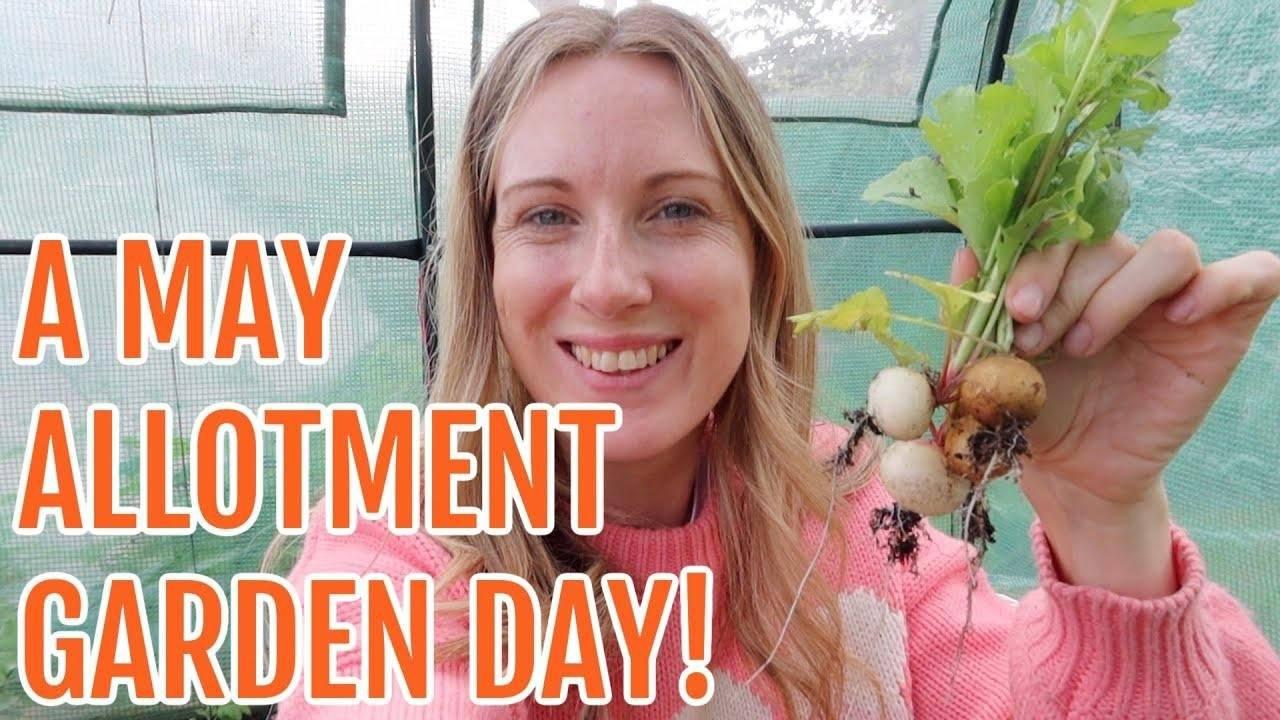 WEEDING, PLANTING AND HARVESTING RADISHES / MAY 2023 / EMMA'S ALLOTMENT
