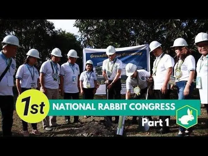 Feedpro Rabbit Industry in the Philippines 1st National Rabbit