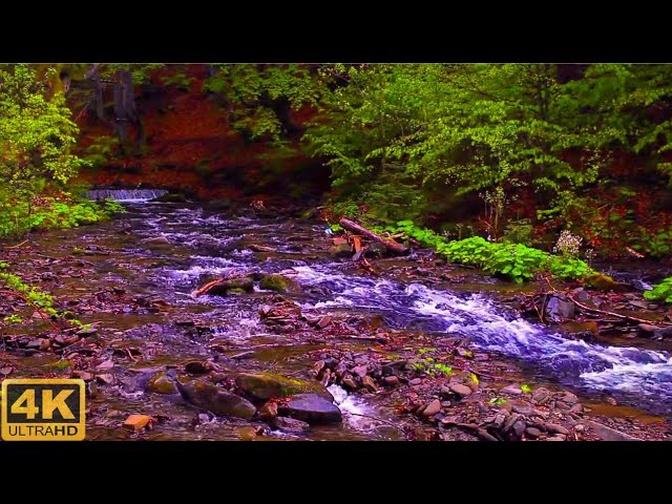 Relaxing Nature Music Nature Sounds Beautiful River 5 Minutes 4K Ultra HD (2022)