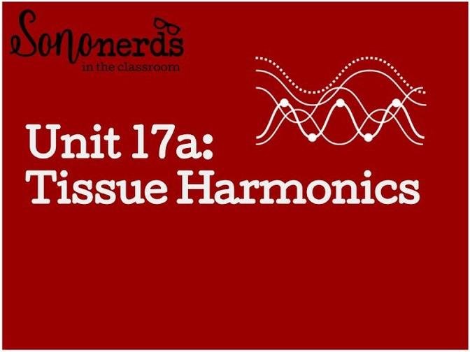 Ultrasound Physics with Sononerds Unit 17a