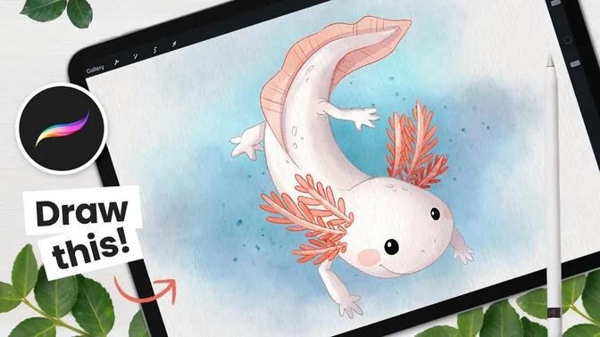 How To Draw A Watercolor Axolotl • Procreate Tutorial