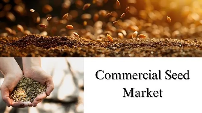 Commercial Seed Market Size, Share, and Growth Analysis Through 2032