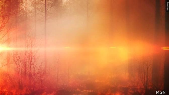 At Least 1 Dead in New Mexico as Wildfire Danger Continues | 記事 ...