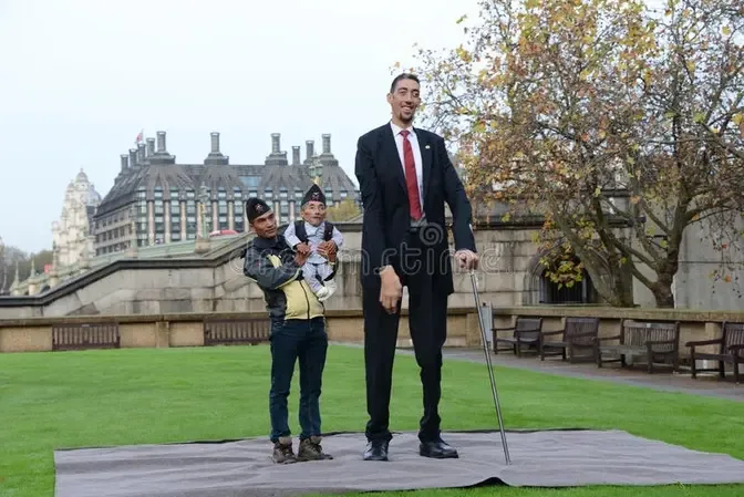 World's Tallest Man