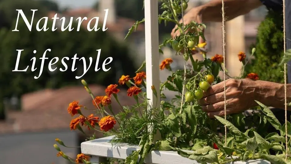 Balcony Garden Progress | Walking in Nature & Lavender Picking