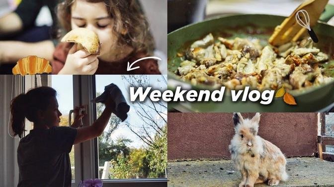 🍂 Cozy Weekend Cleaning, Mushroom Hunting & Dinner with Family