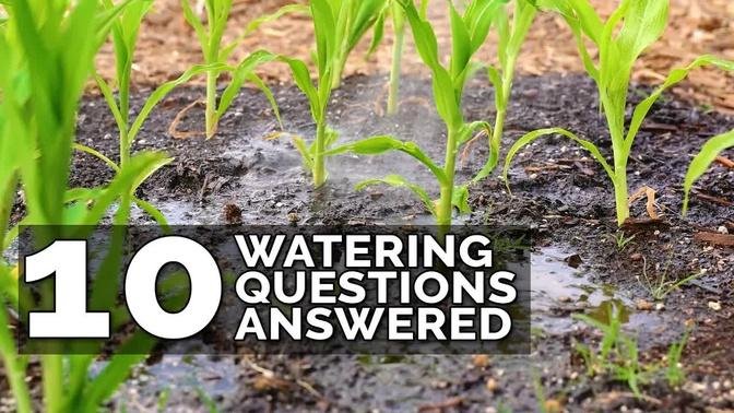 10 Ways to Water Your Garden Better