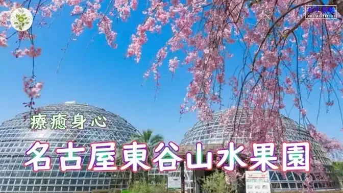 療愈身心——日本名古屋東谷山水果園（Togokusan Fruits Park in Nagoya Japan）#城市印象 #旅游 #FallFoliage #新宇晨曦