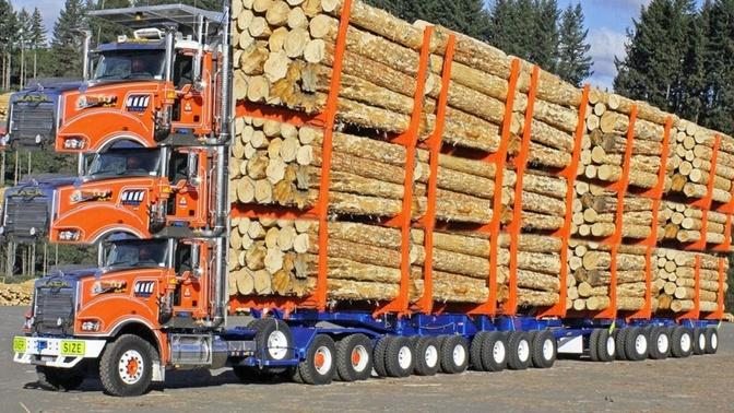 Dangerous Fastest Chainsaw Tree Cutting Machines  Biggest Logging Wood Truck Heavy Equipment Working