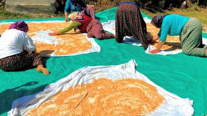 Peasant Women Making Tarhana in the Village - Village Documentary ...