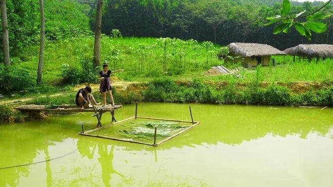 Make Bridge To Feed Fish On The Pond, Farm Building Thanh Hien's Building Life, Ep9.