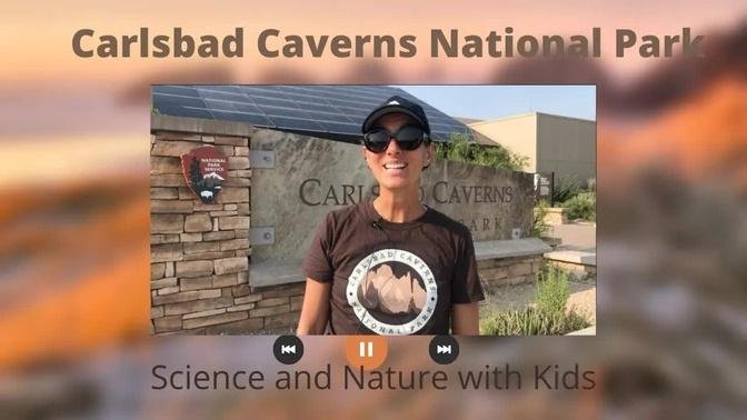 Carlsbad Caverns | National Park |  With Kids | Virtual Fieldtrip | Caves | Bats