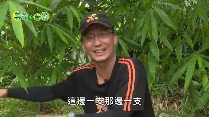 【屏東潮州】公務生涯告一段落 陳景行推廣無毒甜龍筍｜有機無毒｜238｜美麗心台灣
