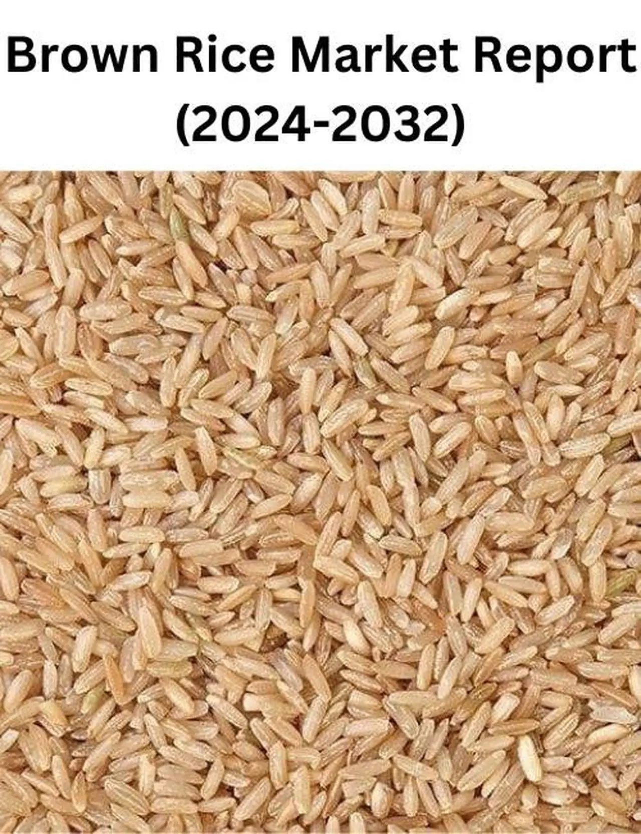 Brown Rice Market Trends and Growth Insights, 2032