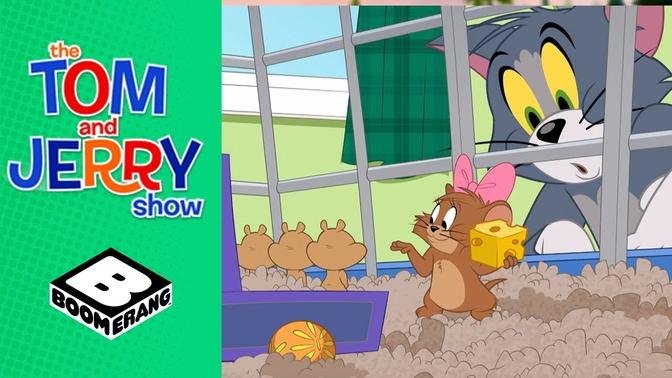 Jerry the Hamster _ Tom & Jerry _ Boomerang UK